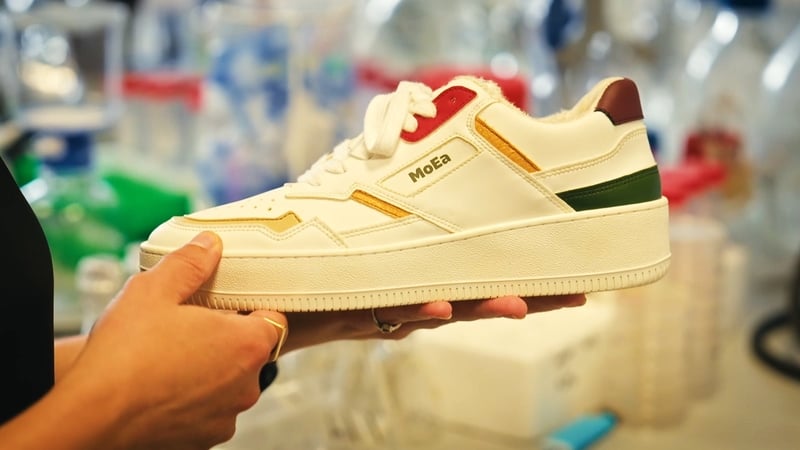 why-ireland-could-lead-in-a-new-multi-trillion-euro-industry