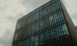 How a new approach to Irish timber could help deliver homes