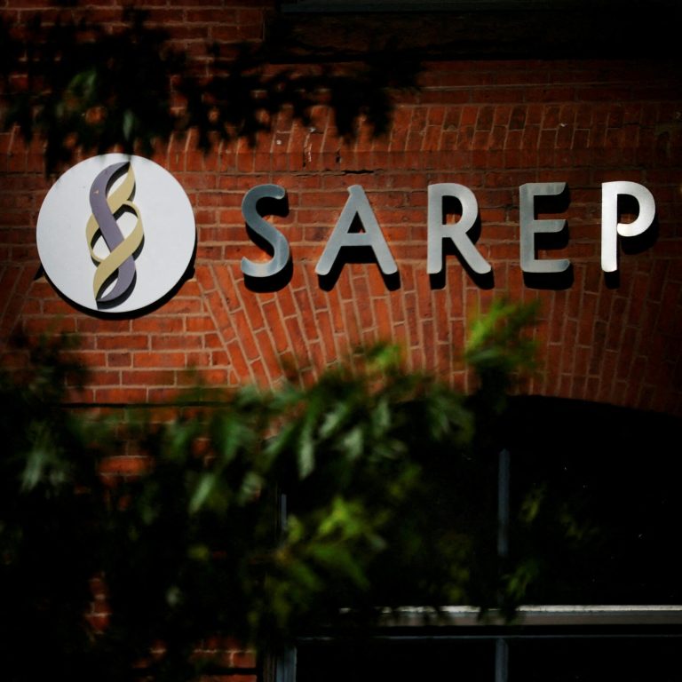 Read more about the article n