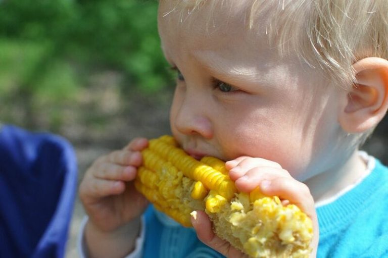 Read more about the article Corn Falling as USDA Yield Cut Comes Well Shy of Estimates