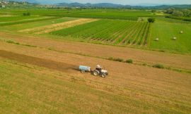 EU gives green light for talks with UK on agri-food