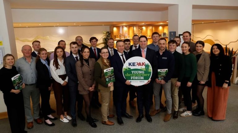 Read more about the article Young sheep farmers seek to secure sector