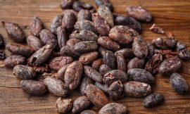 Cocoa Prices Undercut by US Tariff Cut