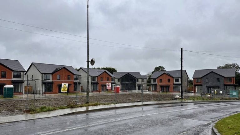Read more about the article Liquidator appointed to company building Co Meath houses