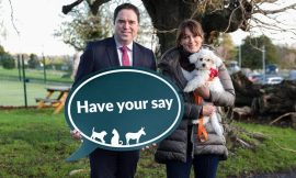 Views sought on responsible dog ownership, animal welfare