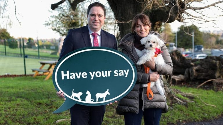 Read more about the article Views sought on responsible dog ownership, animal welfare