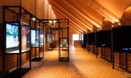 Limerick’s Rugby Experience records losses of €1.05m