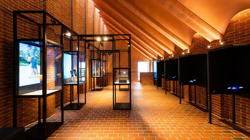 limerick’s-rugby-experience-records-losses-of-e1.05m