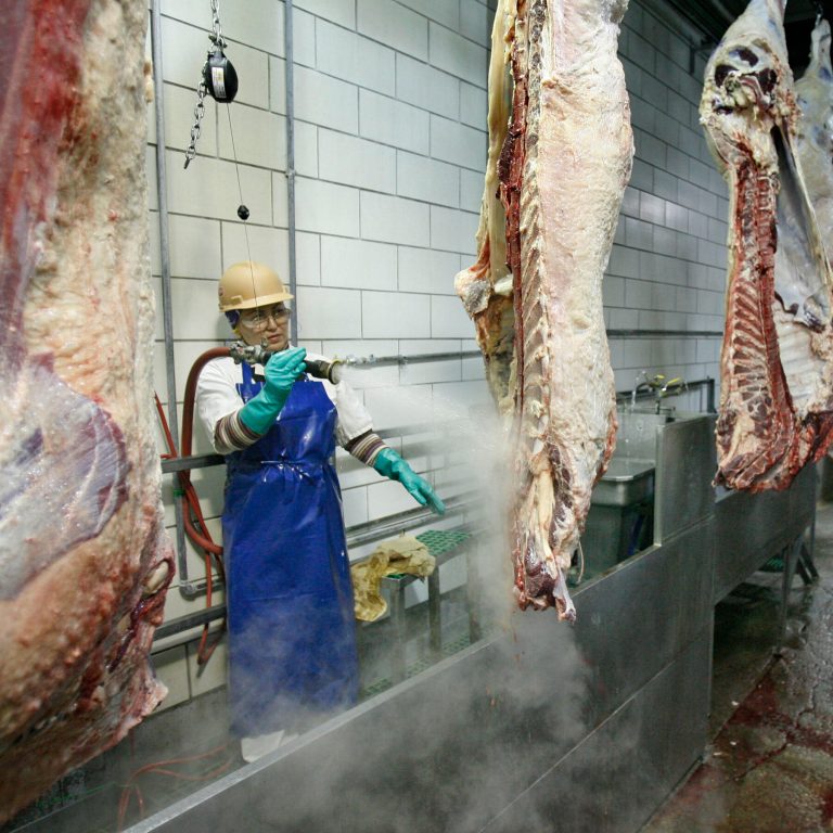 Read more about the article n