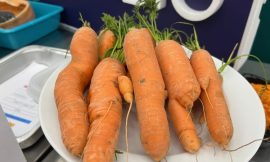 Increased food security efforts amid climate pressures