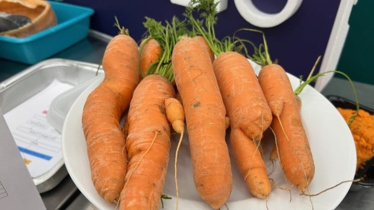 Read more about the article Increased food security efforts amid climate pressures