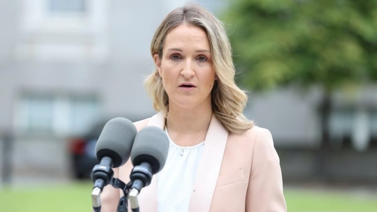 Read more about the article McEntee to raise issue of tariffs at EU-US meeting