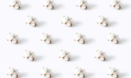 Cotton Pulls Out Gains on Monday