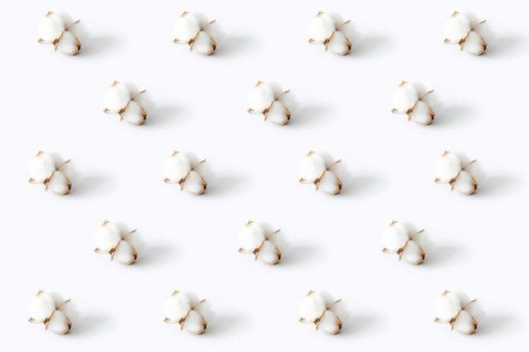 Read more about the article Cotton Pulls Out Gains on Monday