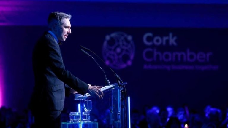 Read more about the article Tánaiste says fiscal framework one of his main priorities