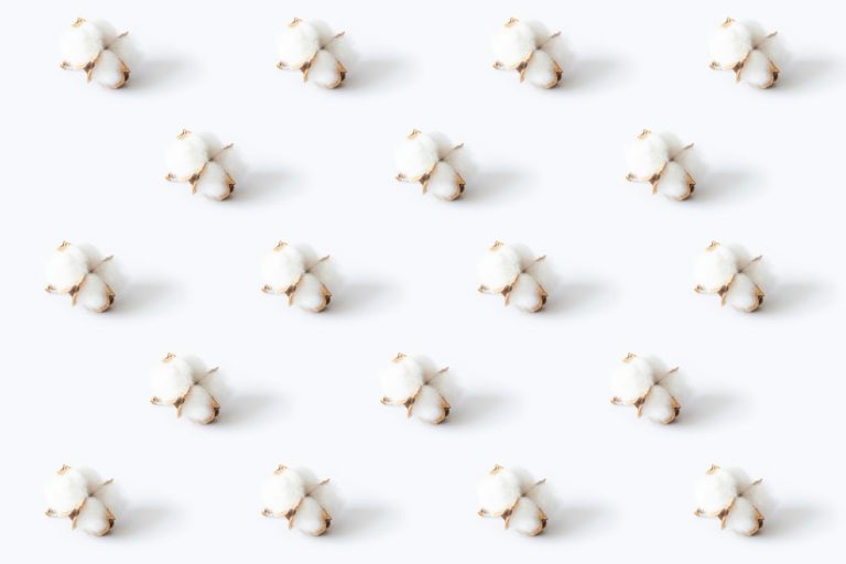 Read more about the article Cotton Closes Higher on Tuesday