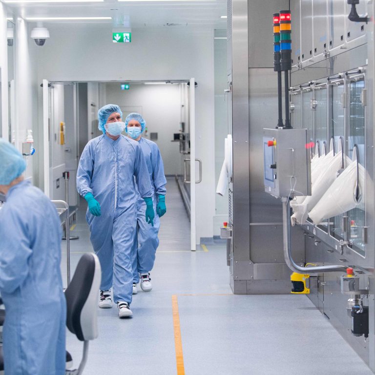 Read more about the article n