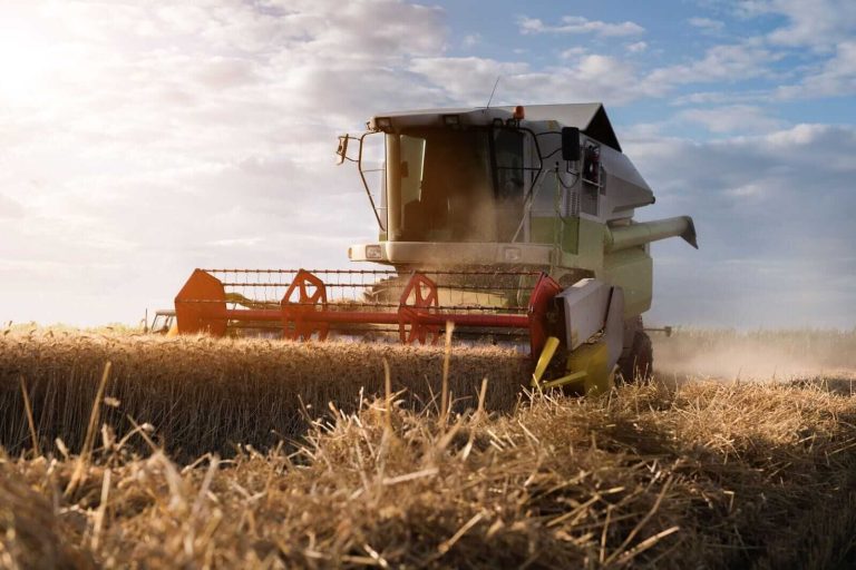 Read more about the article Wheat Closses Mostly Lower on Monday