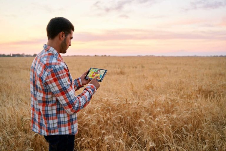 Read more about the article Wheat Trading Mixed on Friday