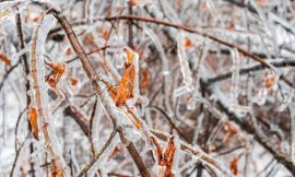 Nat-Gas Prices Soar as Frigid US Temps to Persist