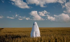 Wheat Falls Lower on Wednesday