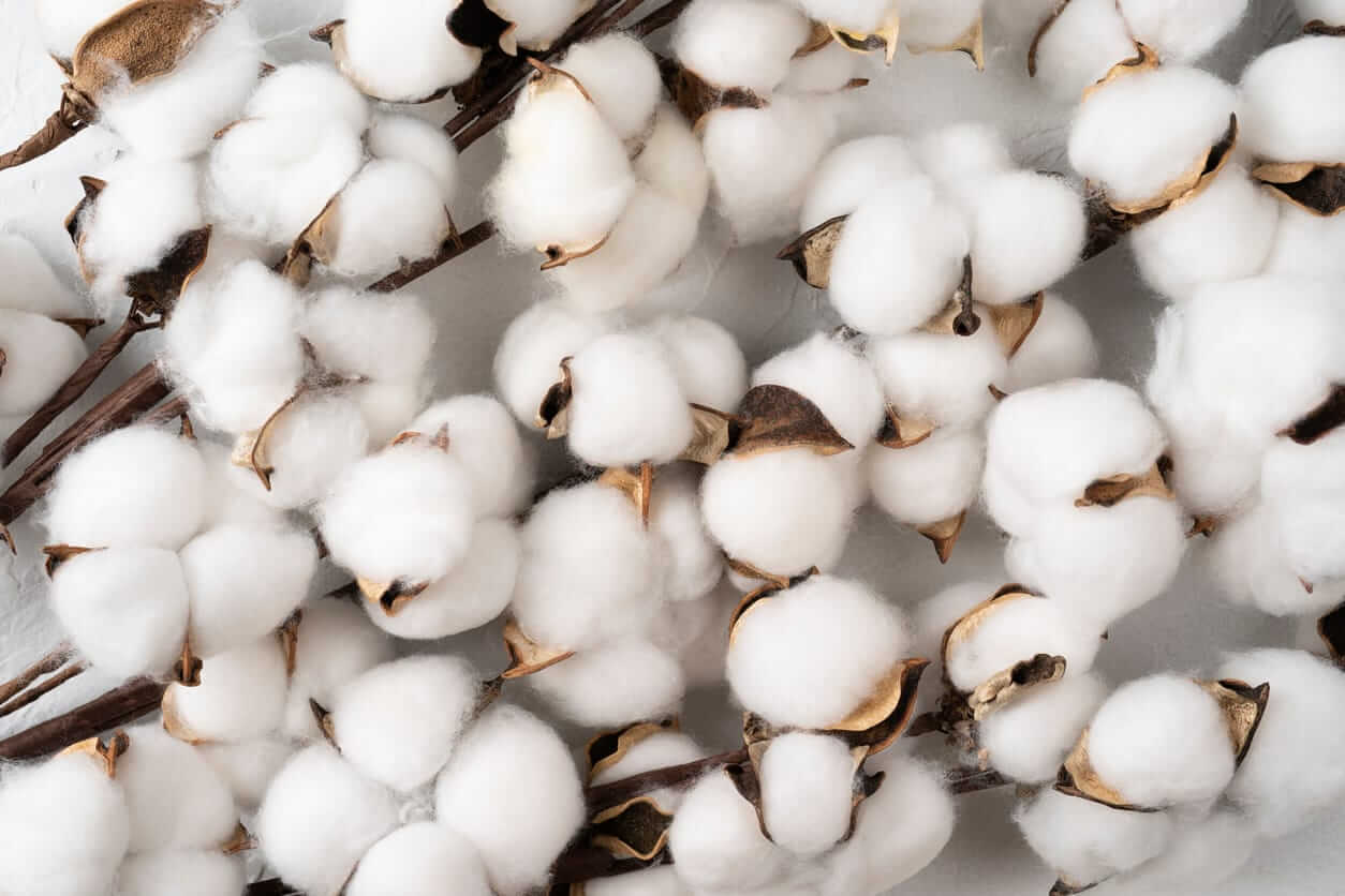 cotton-closes-with-midweek-gains