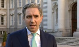 Tánaiste to support economic impact assessment proposal