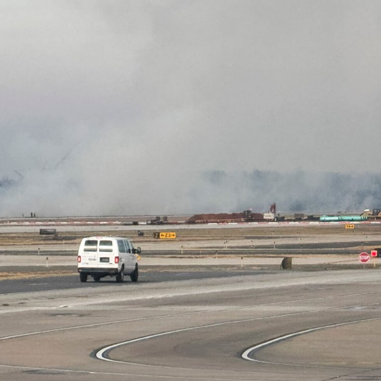 Read more about the article n