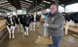 How many UK homes could be heated from cow manure?