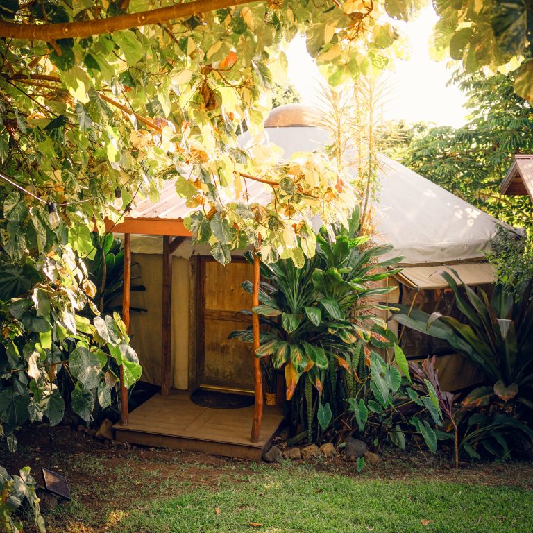 Read more about the article n