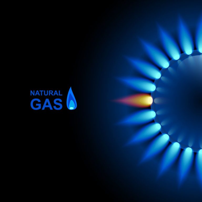 Read more about the article Nat-Gas Prices Rebound on Technical Short Covering