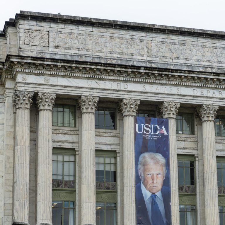 Read more about the article n