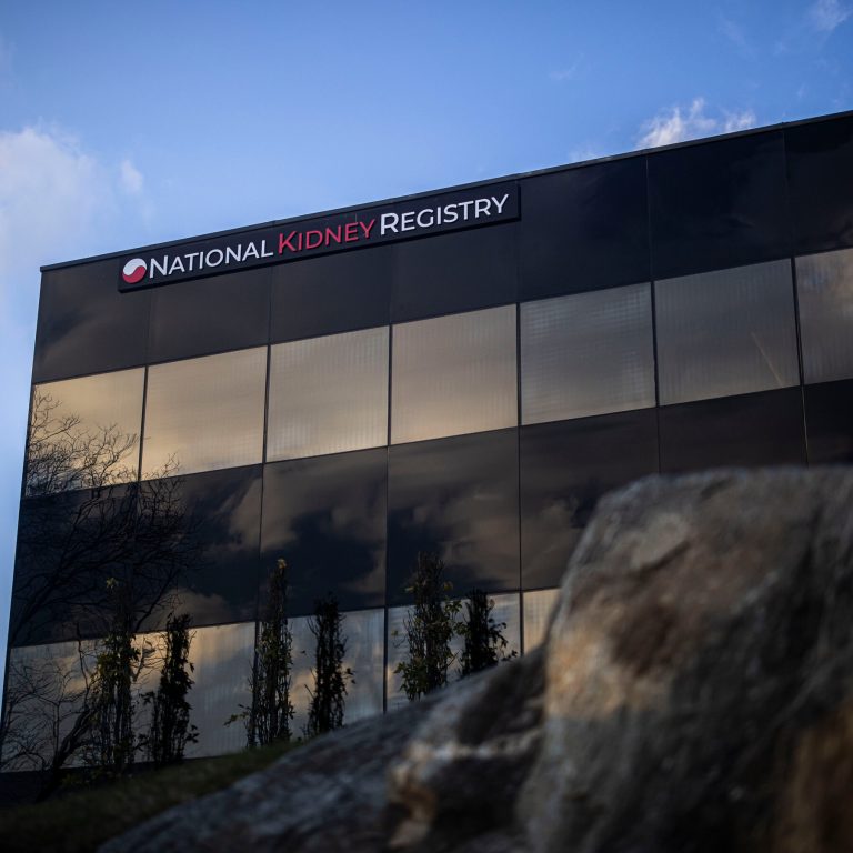 Read more about the article n