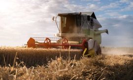 Wheat Mixed at Monday’s Midday