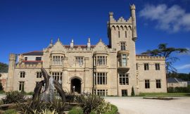 Doherty’s Harcourt Developments posts profts of €156.8m