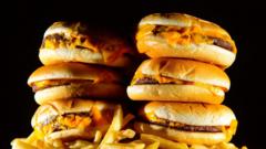 Read more about the article Junk food advert ban set to come into force