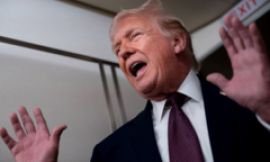 Trump plan to cap credit card costs hits bank shares