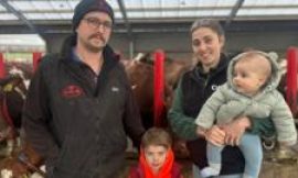 Dairy farm crisis: The money we earn from selling our milk doesn’t cover our costs