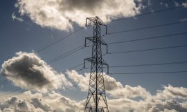 Annual wholesale electricity prices down 21% in December