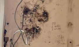 Thousands at risk in unsafe homes after failed insulation schemes