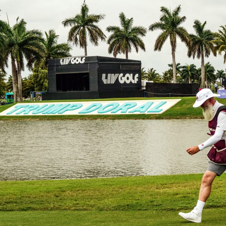 Read more about the article n