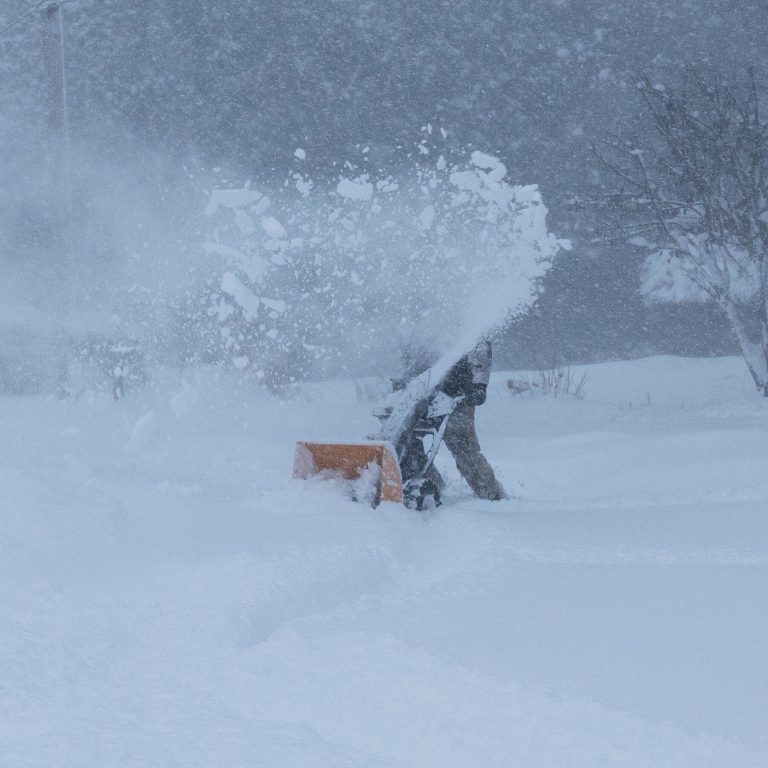 Read more about the article n