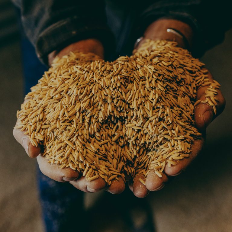 Read more about the article n