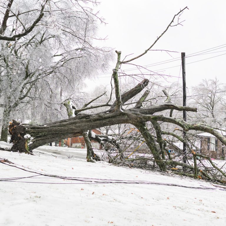 Read more about the article n