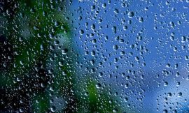 Arabica Coffee Prices Fall on Brazil Rain Forecasts