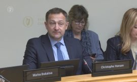 No decision on implementing Mercosur yet – Commissioner