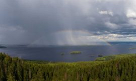 Coffee Prices Sharply Lower as Brazil Rains Bolster Crop Prospects