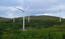 Profits drop sharply to €81.65m at retail arm of Energia