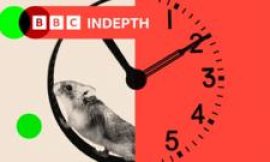 AI gold rush sees tech firms embracing 72-hour weeks