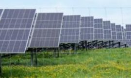 More solar farms on the way after record renewables auction